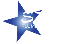 Star Plumbing & Drains, LLC, OK